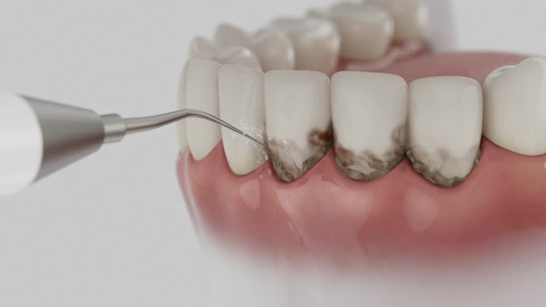 Reliable Dental contractor in Luna Pier, MI by Dentist Open Now